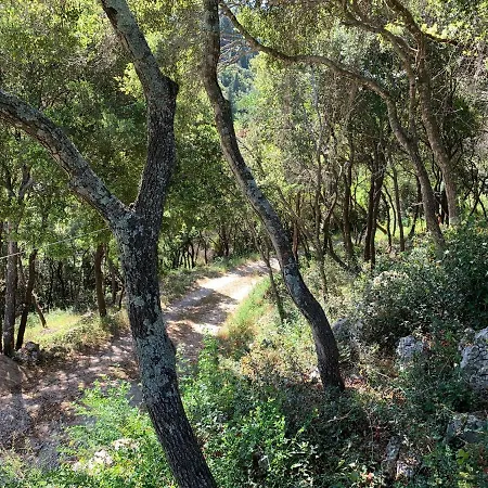 Pyrgos Vila